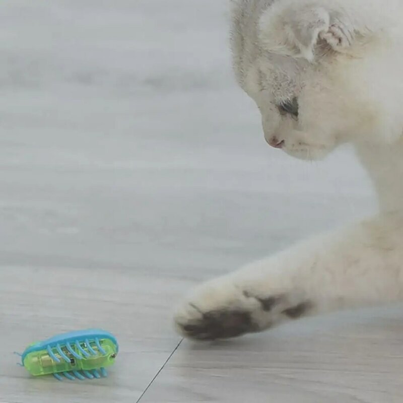 Mainan bermain kucing lucu mainan elektrik anak anjing kucing mainan interaktif plastik Bug anjing penggoda menarik perlengkapan latihan produk hewan peliharaan