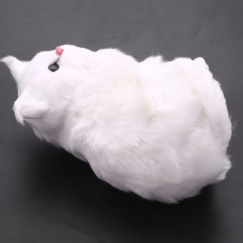 Peluche de simulación realista para niños y niñas, gatos persas blancos, muñecas de gato, Decoración de mesa