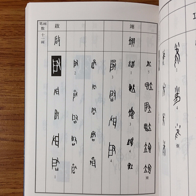 Dizionario di oracolo cinese caratteri cinesi sviluppo libro di riferimento pennello pratica quaderno oracolo combinazioni di testo grafico