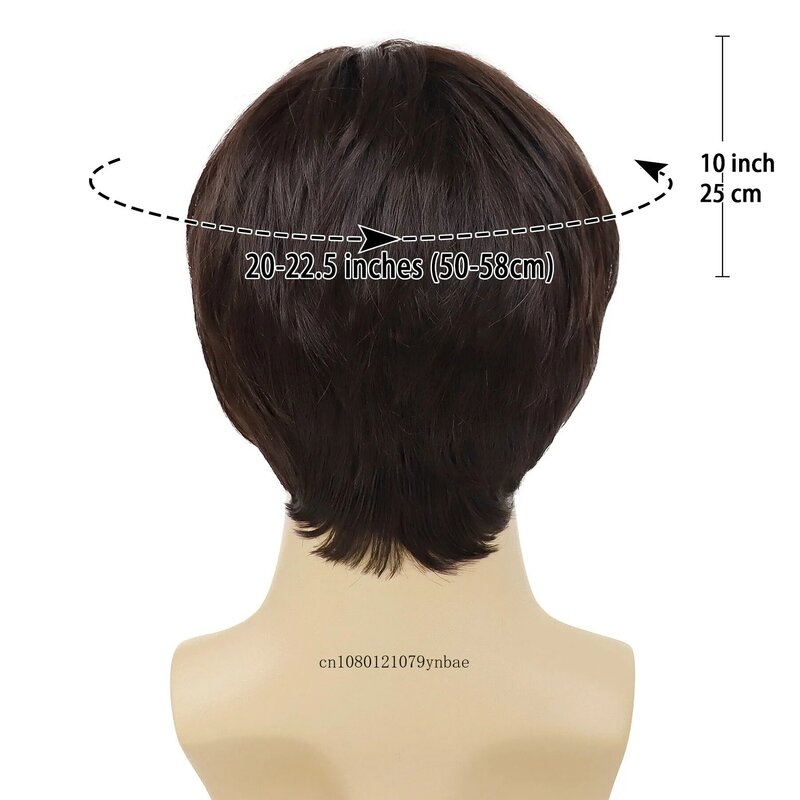 Fashion Brown Synthetic Hair Short Straight Wigs with Bangs for Men Guys Heat Resistant Daily Party Costume Cosplay Halloween