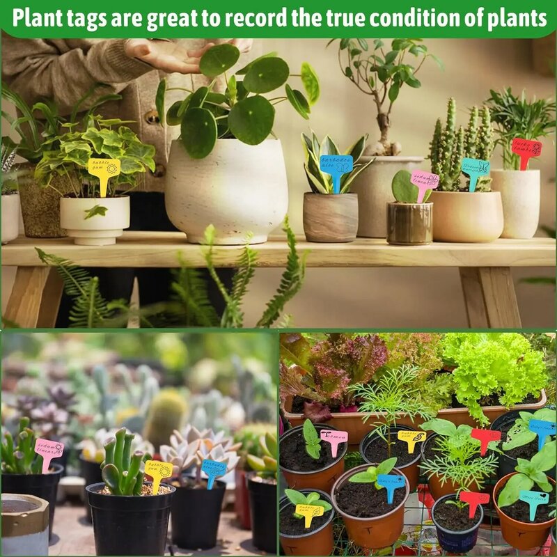 플라스틱 식물 태그 T 모양 재사용 가능 방수 식물 걸이식 태그 마커, 꽃 라벨 원예 도구, 100 개