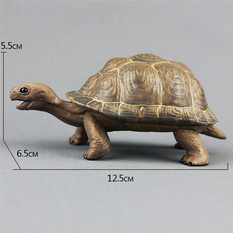 Nuova simulazione tartaruga Figurine ornamenti animale selvatico tartaruga marina Tortoise Action Figures Home Office Desk ornamento decorativo giocattolo