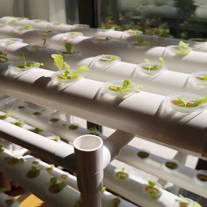 Hydrocultuur Groenteplantsysteem Grondloze Teeltapparatuur Smart Aerobe Systeem Verticale Rek Tuin Bloempot