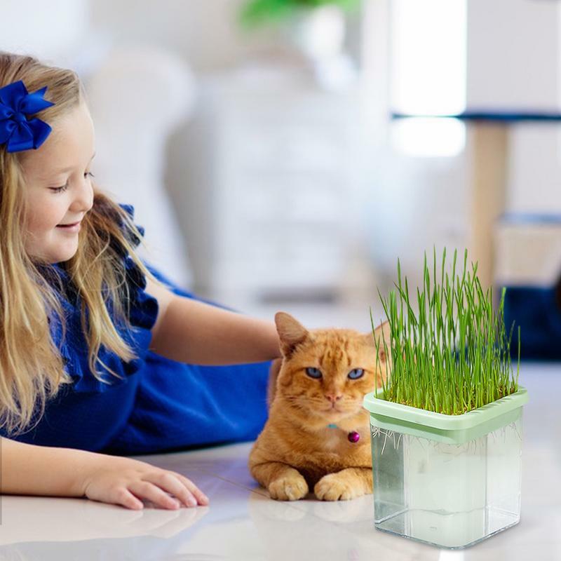 수경 고양이 잔디 재배 상자, 수경 고양이 잔디 발아 트레이, 수경 개박하 고양이 잔디 상자, 가정용 고양이
