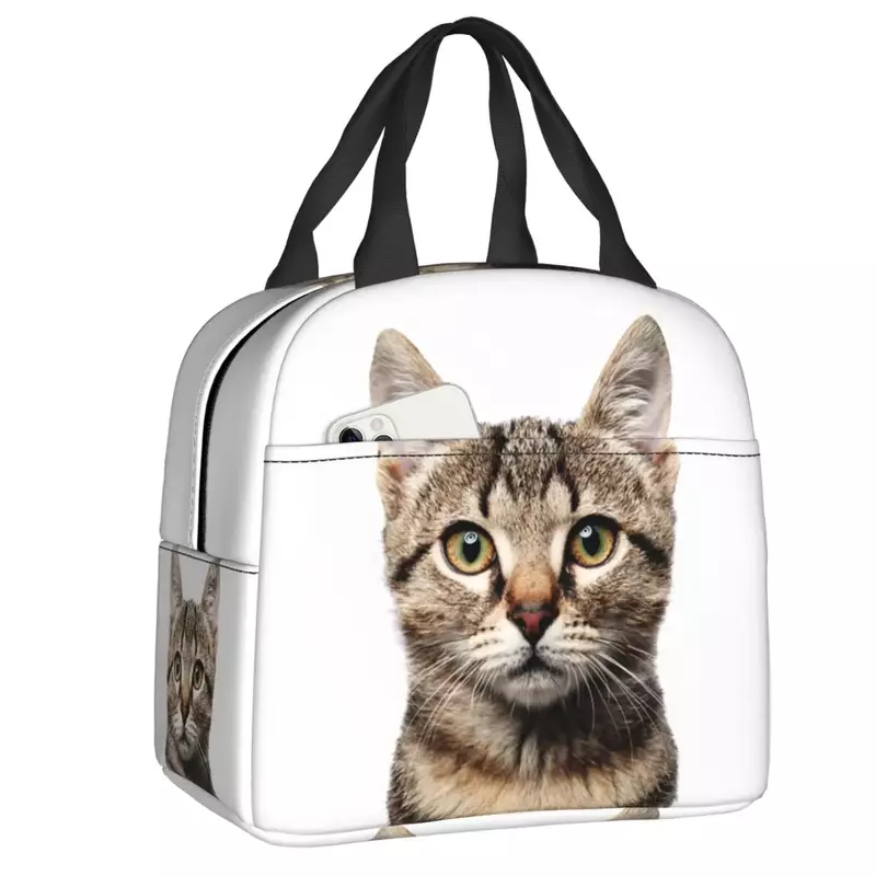 Lustige Katze Lunchbox auslaufs ichere thermische Kühler Lebensmittel isoliert Lunch Bag für Frauen Kinder Schule Arbeit Picknick tragbare Einkaufstaschen