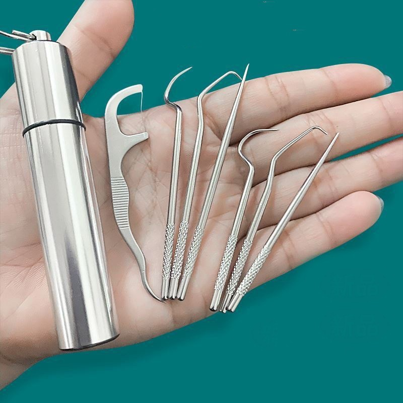1Set Toothpick Set Metal Stainless Steel Oral Cleaning Tooth Flossing Portable Toothpick Floss Teeth Cleaner with Storage Tube