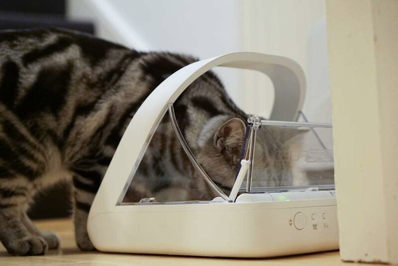 Sure Petcare -SureFlap - SureFeed - Microchip Pet Feeder - Selective-Automatic Pet Feeder Makes Meal Times Stress-Free