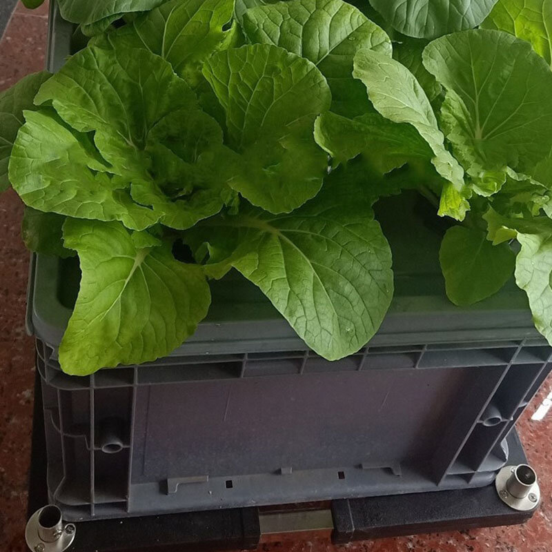 Système de culture hydroponique d'intérieur intelligent, Pot de plante, système aérobique, équipement de jardinage en serre, Installation de jardinière de légumes