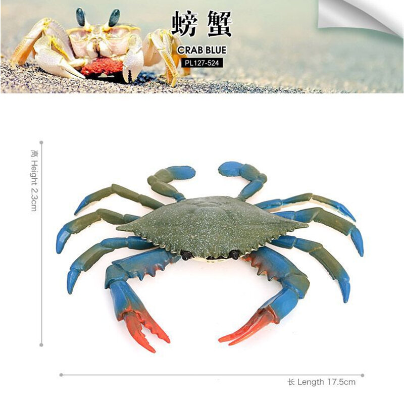 Modelo de simulación de Vida Marina, juguete de cangrejo de patas azules, Animal sólido submarino para niños, regalo