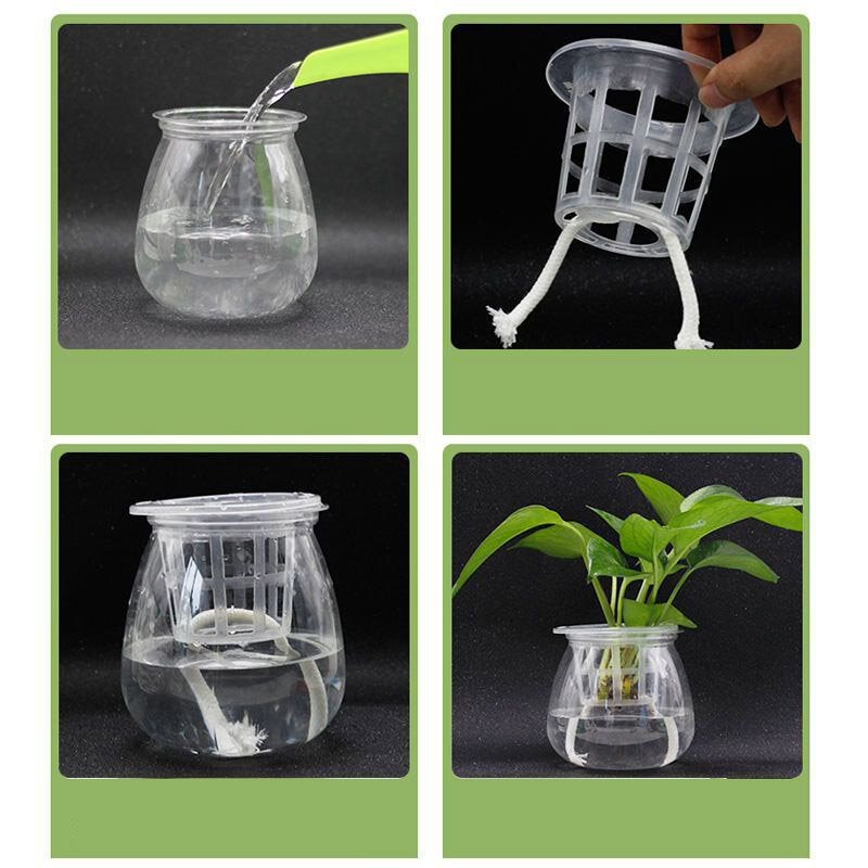50 pz idroponica Soilless Mesh Net basket Plant veg Grow Nursery Cup Pot Sponge tray Aeroponic Veg Planter Clone colonisation q1