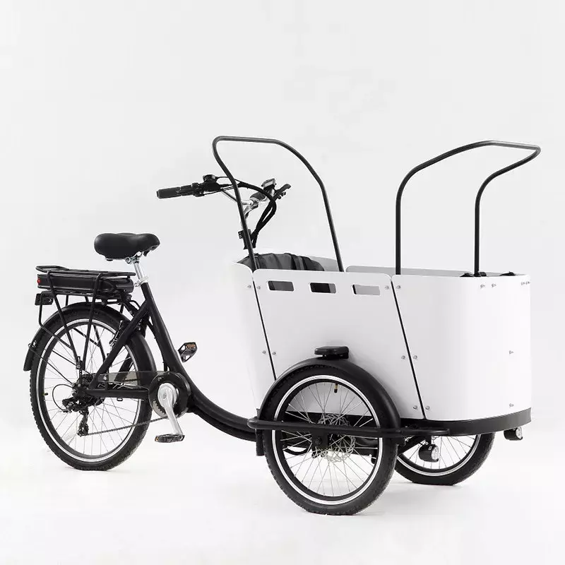 Электрический трехколесный грузовой велосипед с педалью и задним мотором 250 Вт для переноски детей или домашних животных