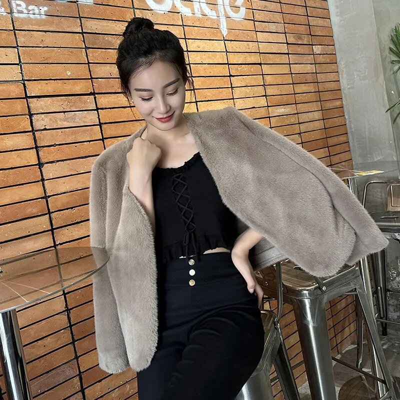 2024 Autumn And Winter New Rabbit Hair Imitate Fur Coat Women's Mink Fleece Coat Short Versatile Plush Coat Quilted Jacket Black