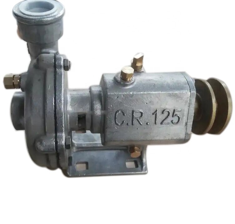 Pompa dell'acqua di mare in acciaio inossidabile CR100 CR125 CR150 CR200 utilizzata per il motore marino