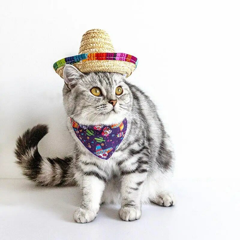 Meksykańskie Sombrero meksykańskie czapki imprezowe Sombrero z wielokolorowym wykończeniem kapelusz dla psa De Mayo małych zwierząt koty dekoracje na przyjęcia dla psów