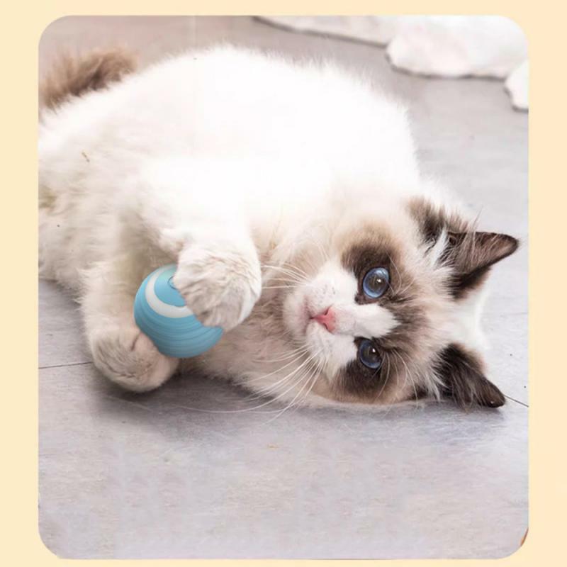 Pussy Ball Food Grade Silicone Charging Pet Rolling Ball Intelligent Cat Training Supplies Rechargeable Cat Ball Bitter Cat Toy