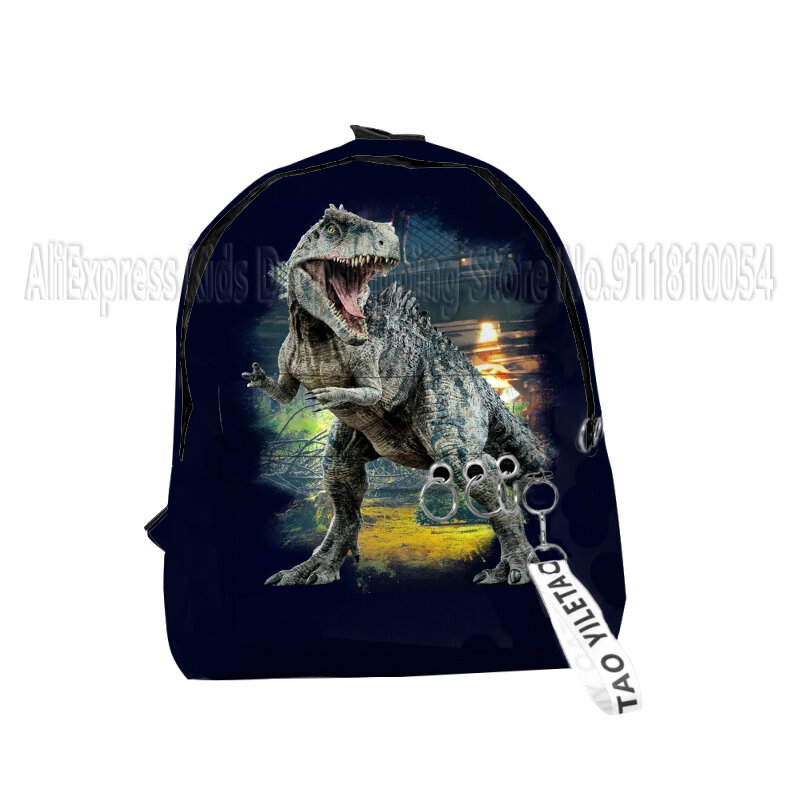 Mochilas escolares de dinosaurio para niños y niñas, mochilas con estampado 3D de dragón de dibujos animados, Oxford, impermeable, llavero, divertidas, pequeñas bolsas de viaje
