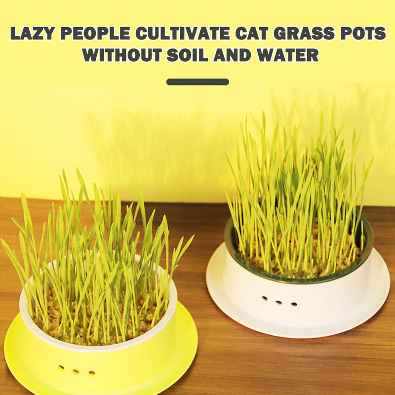Simple Catgrass Planter Box Portable Catgrass Cultivation Tray For Bedroom Living Room