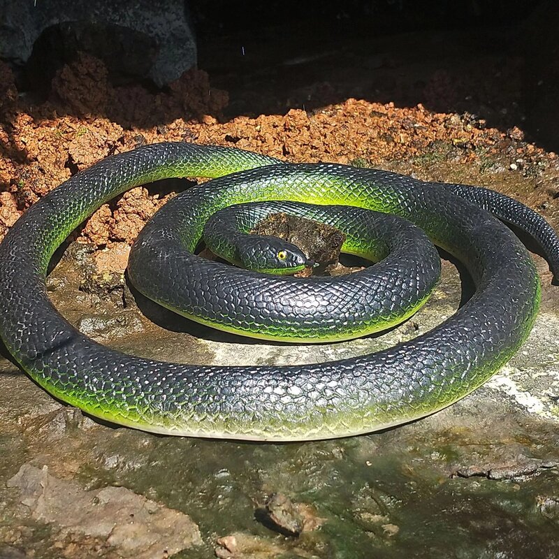 Zabawna zabawka Symulacja węża z miękkiej gumy Sztuczny wąż Realistyczny wygląd Rekwizyty Symulacja Fałszywy wąż Straszna zabawka