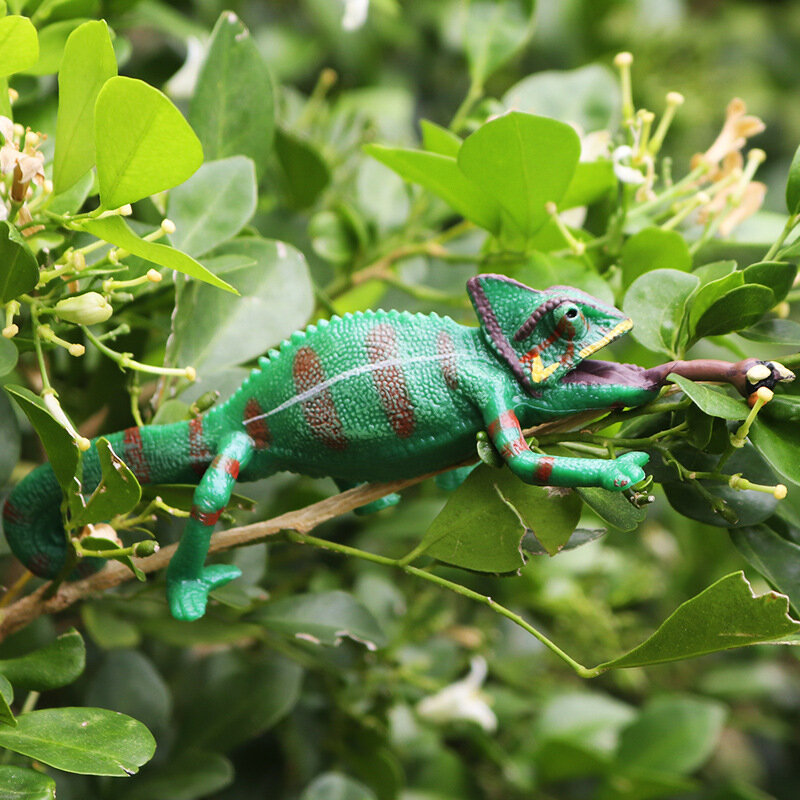จำลองสัตว์ของเล่น Solid Chameleon Lizard เด็กความรู้ความเข้าใจ Amphibian และสัตว์เลื้อยคลานเครื่องประดับพลาสติก