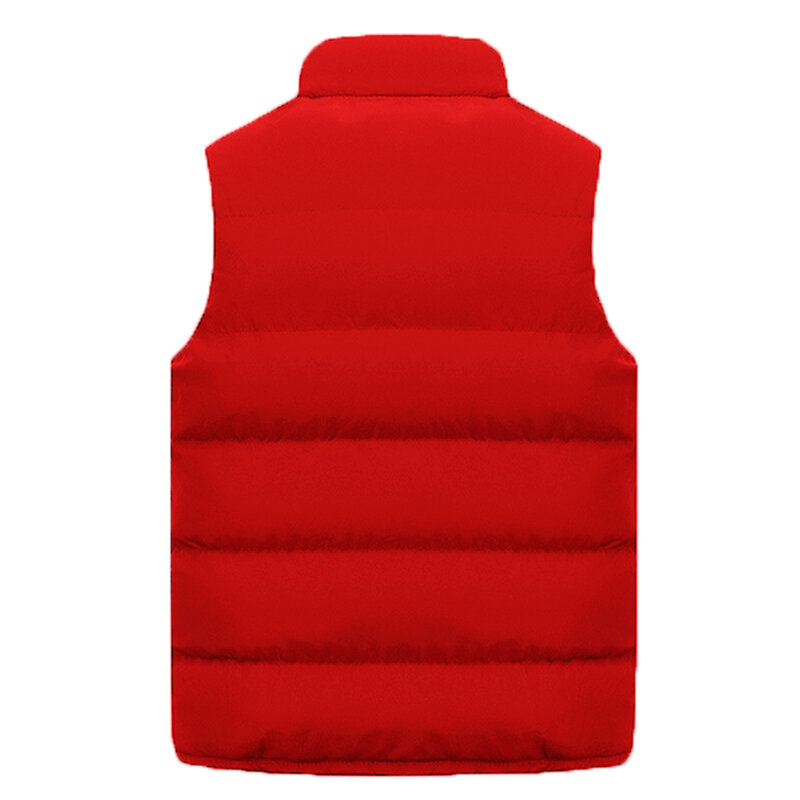フード付きメンズ防水ノースリーブジャケット,暖かいカジュアルウェア,綿のベスト,4色,冬