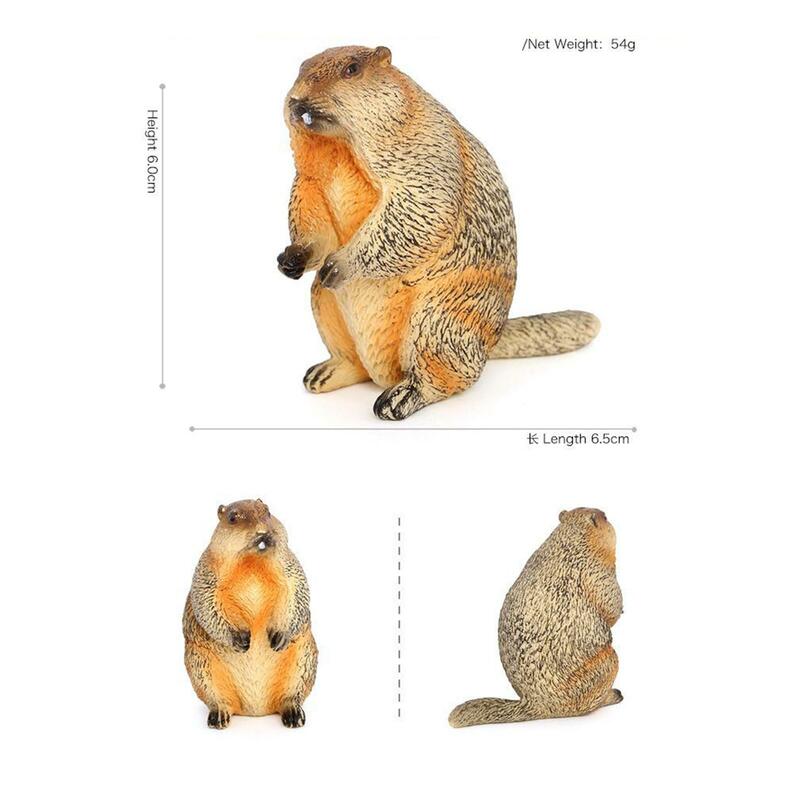 Juguete de marmota realista, modelo de Animal de simulación portátil, decoración