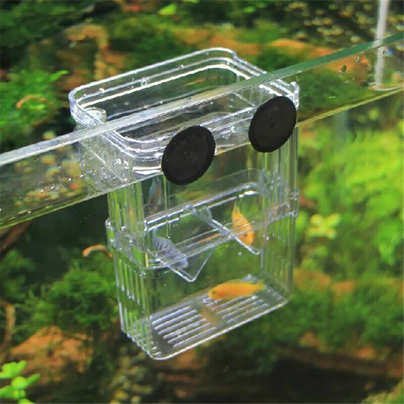 Größe L Hohe Klar Fisch Zucht Box Aquarium Züchter Box Doppel Guppies Schlüpfen Inkubator Isolation (Neue Acryl)