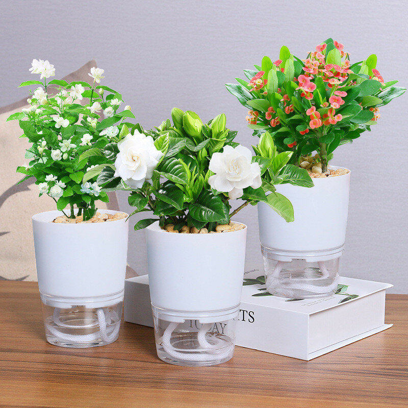 Vasi per fioriere autoirriganti Mini vaso per piante succulente rotondo giardino domestico per interni vaso da fiori pigro scrivania decorazioni per ufficio forniture da giardino
