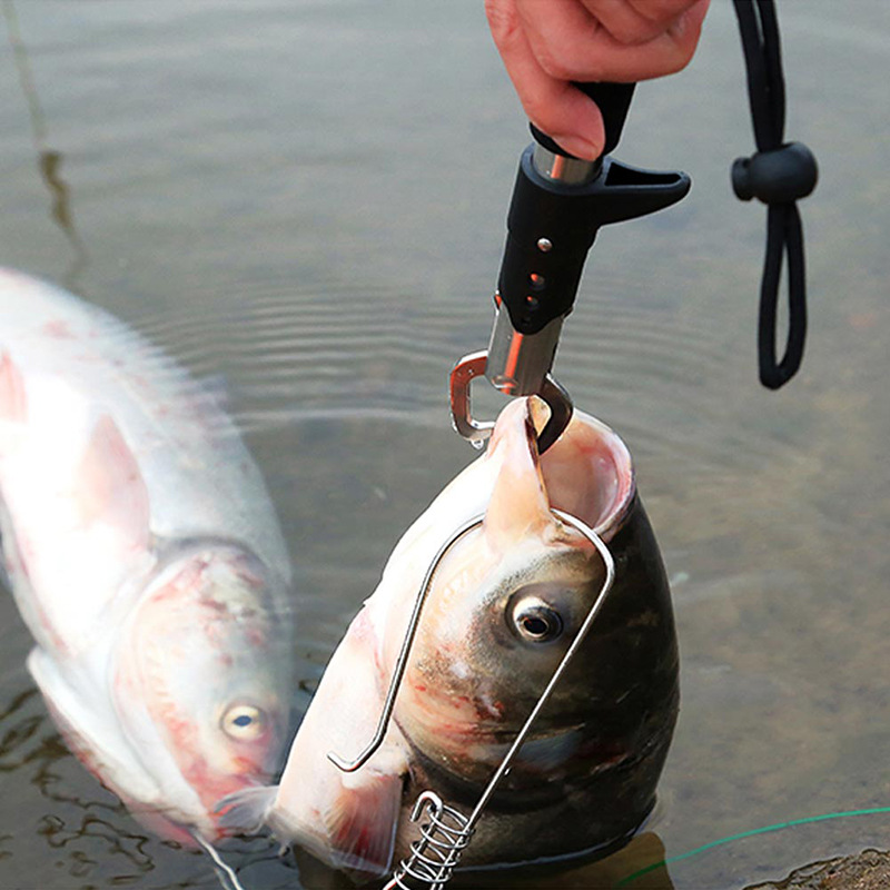 24ซม.สแตนเลสตกปลา Gripper Professional Fish Grip Lip Clamp Grabber คีมพับพกพาคลิป Controller เครื่องมือตกปลา
