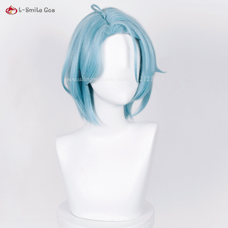 ES2 Crazy:B parrucca Cosplay Himeru Cosplay parrucche Anime Himeru 35cm parrucca sintetica resistente al calore capelli grigi blu + cappuccio parrucca
