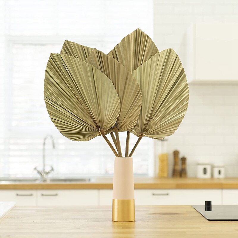 Getrocknete Palm Blätter Room Decor 5 Stück-18 Zoll H X 10 Zoll W Große Natürliche Palm Blatt Dekor für EINE Schöne Boho Aussehen