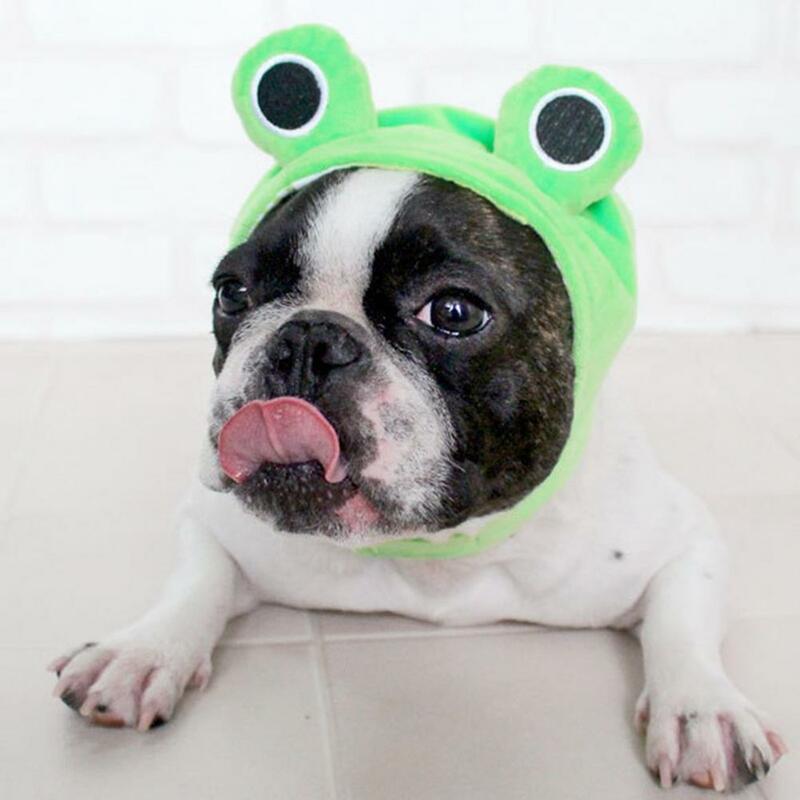 Verstellbare Haustier Hut Plüsch Frosch Haustier Kopf bedeckung Set für Partys Cosplay Neuheit Hut Verschluss Klebeband Mode für Hunde für den Urlaub