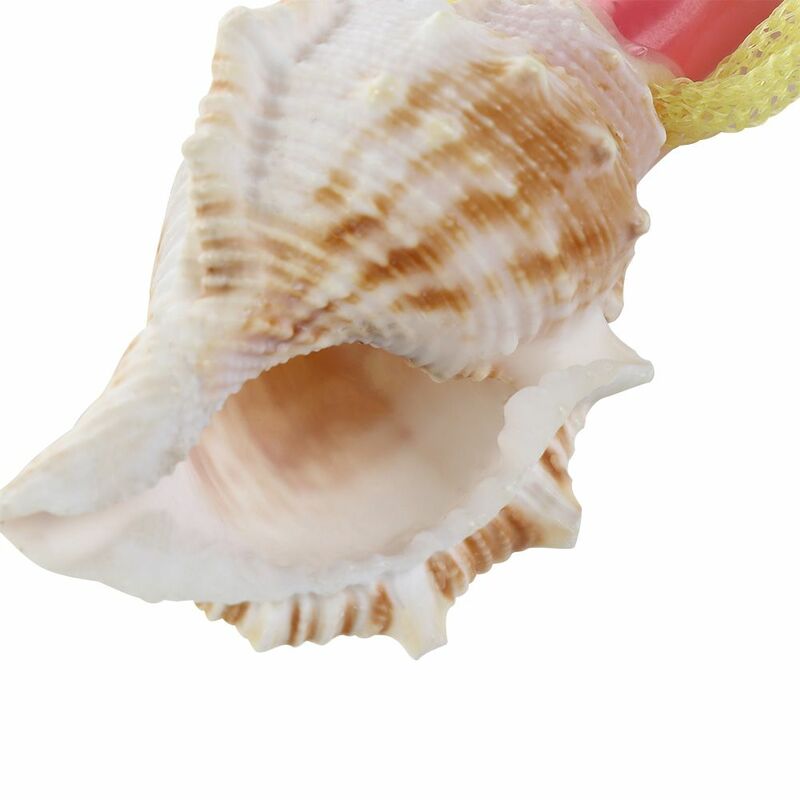 Crafts Decoration Birthday Pendant Shell Creative Shipping Children Natural Gift Toys Conch  Whistle Survival Tool