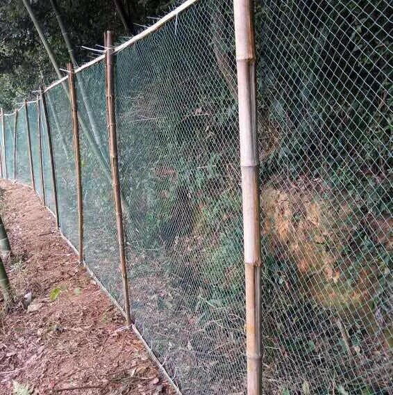 Zware Anti-Vogelgaas Net Tuinhek En Gewassen Beschermend Hekwerk Gaas Anti-Vogel Hert Kat Hond Kippennet Visnet
