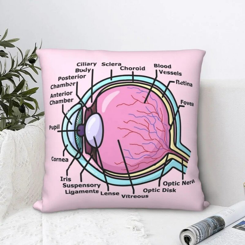 Eye Diagram - Ophthalmology Square Pillowcase Polyester Pillow Cover Velvet Cushion Decor Comfort Throw Pillow For Home Sofa