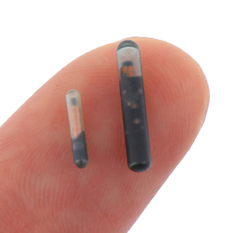 Puce d'injection sous-cutanée importée d'animaux de compagnie, tube de verre RFID, étiquette basse fréquence implantable