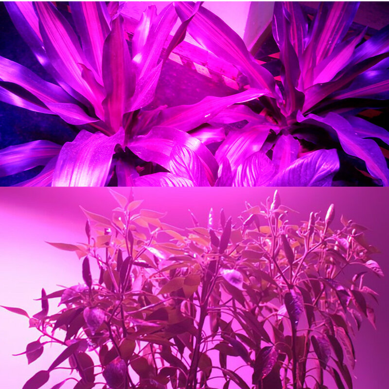 植物栽培用LEDグローライト,100W,70W,50W,220V,110V,成長用ライト,フルスペクトル