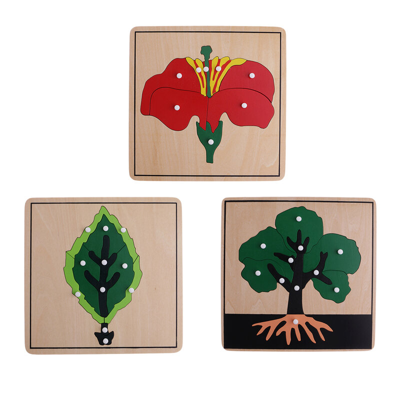 Montessori Materials 3 Plywood Botany Puzzles for Toddler Early Learning Toy
