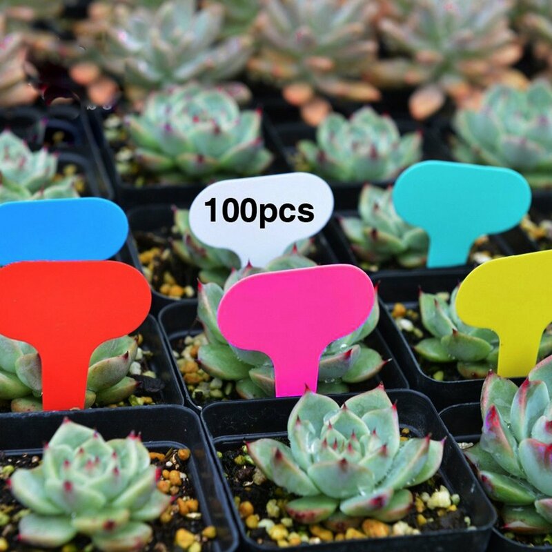 Plástico colorido tipo T Jardim Tags, ornamentos de plantas, etiqueta da flor, Nursery Grosso Tag Markers, Decoração do jardim, 100pcs