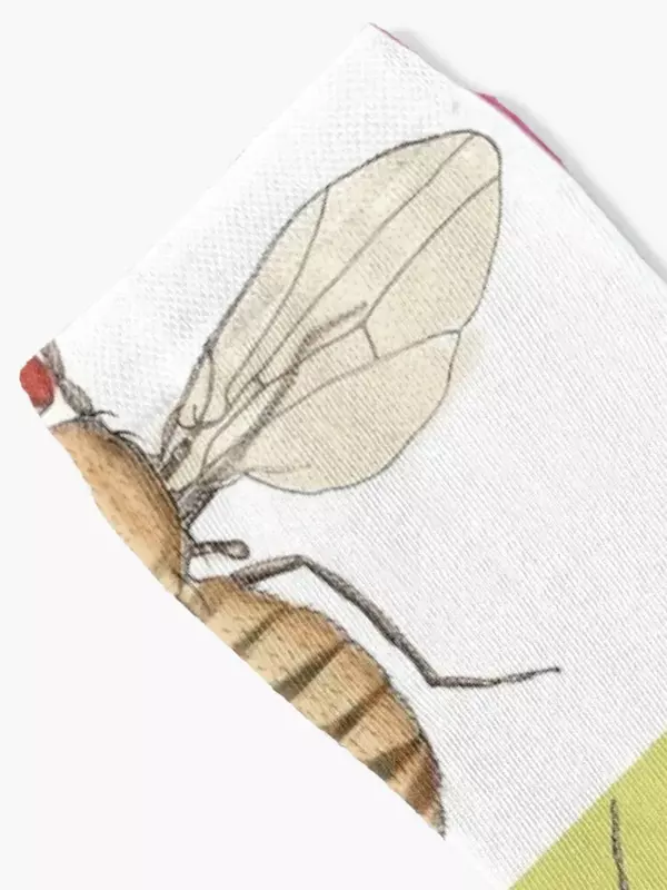 Drosophila melanogaster Meias para homens e senhoras, meias profissionais de corrida, rugby meias para crianças