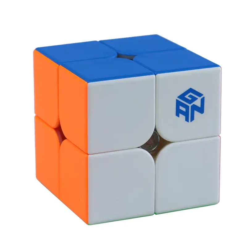 ガンプロ-磁気スピードキューブ,251 m pro 2x2,ペイントパズルゲーム,魔法の立方体,ガン251,プロフェッショナル,スティックレス