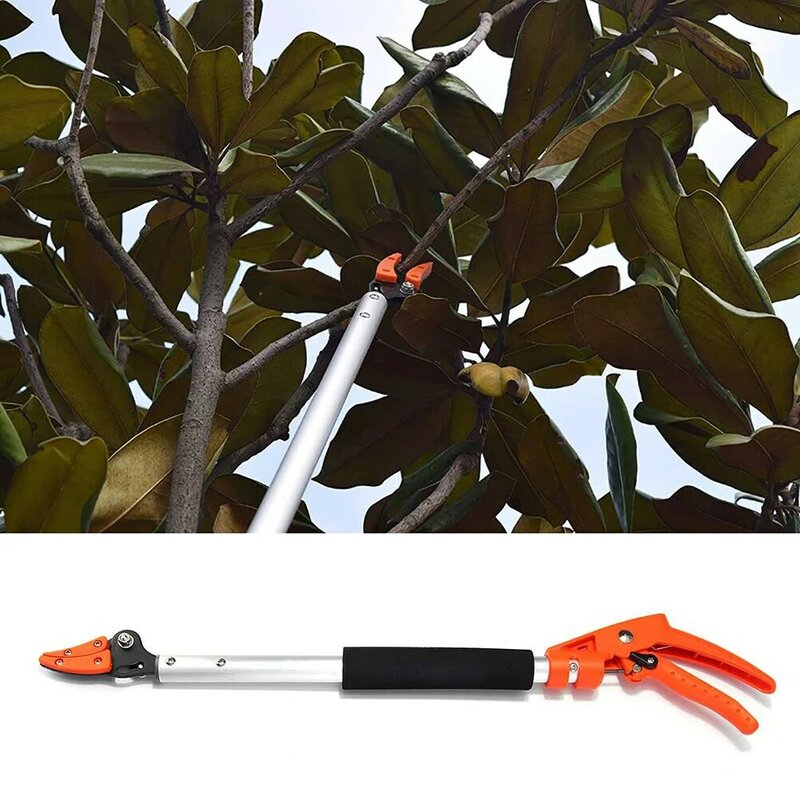 Extensão Branch Scissors, extensível Garden Tool, Tree Trimmer, Fruit Picker, Apple e Caqui Cortador