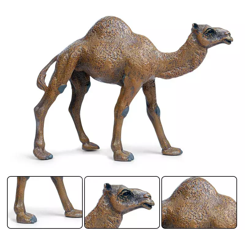 Simulado Dromedário Camelo Figura, Animal Selvagem, Modelo PVC, Coleção Brinquedo para Presente, Estatueta Ensino Educacional, Decoração