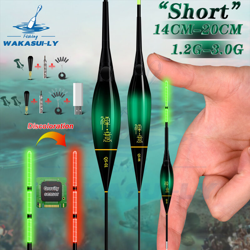 New Short Electronic Fishing Float With Luminous LED Gravity Sensing Color Change And Eye-catching Cloudy Sky Tail Fishing Float