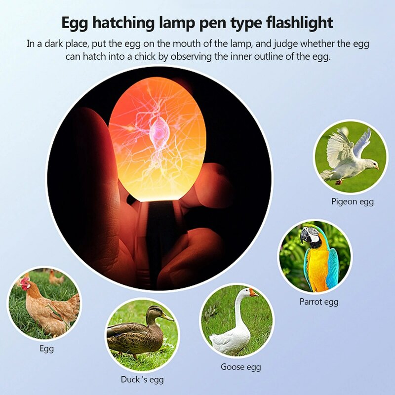 1Pcs Egg Candler Tester High Intensity Cool LED Light Candling Lamp Rechargeable For All Types Egg Broody Or Incubator Monitor