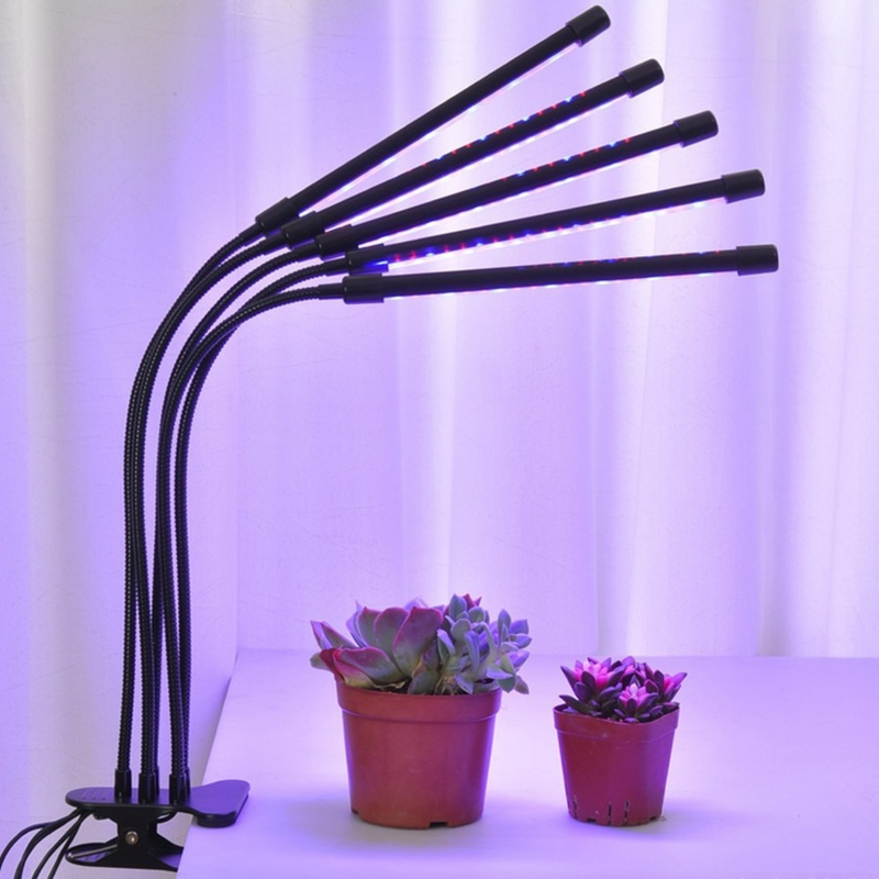 Grow Light Phytolamp a spettro completo per piante luce USB Phyto Lamp Led Grow Lamp per la semina idroponica fiori tenda Box Indoor