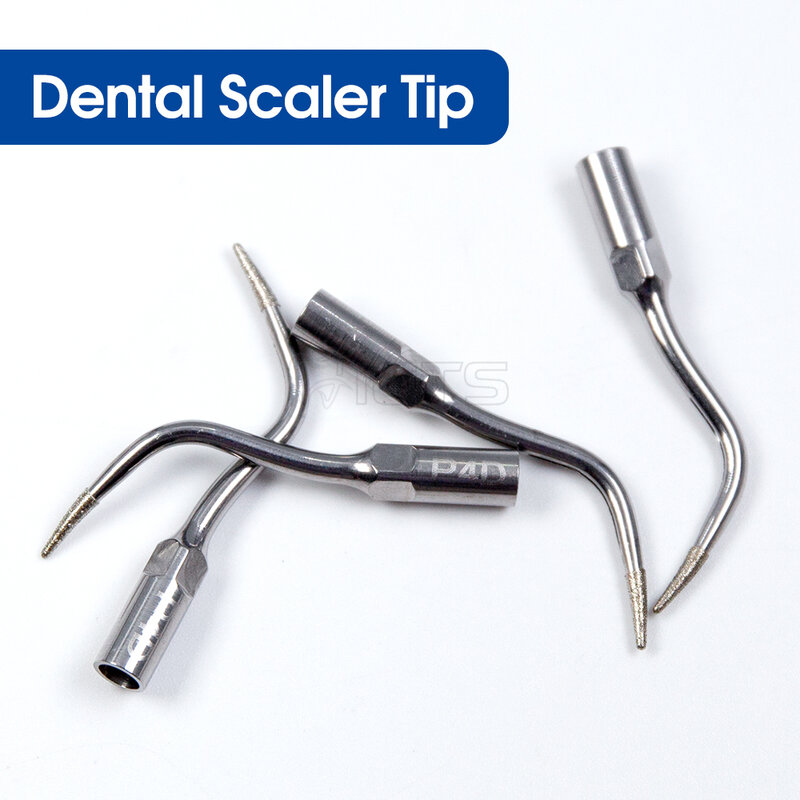 Dica Dental Scaler para Escalação, Periodontia, Endodontia, Uso com Scalers Ultrassônicos, Resiliente ao Desgaste e Resistente à Ferrugem, 1 Pc