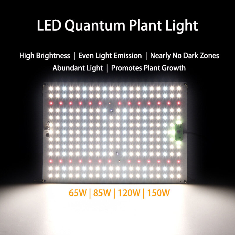 Full Spectrum LED Grow Light, Hidroponia Lâmpada de Crescimento Vegetal, Quantum Board, Chips LM281B, 65W, 85W, 100W, 120W, 150W