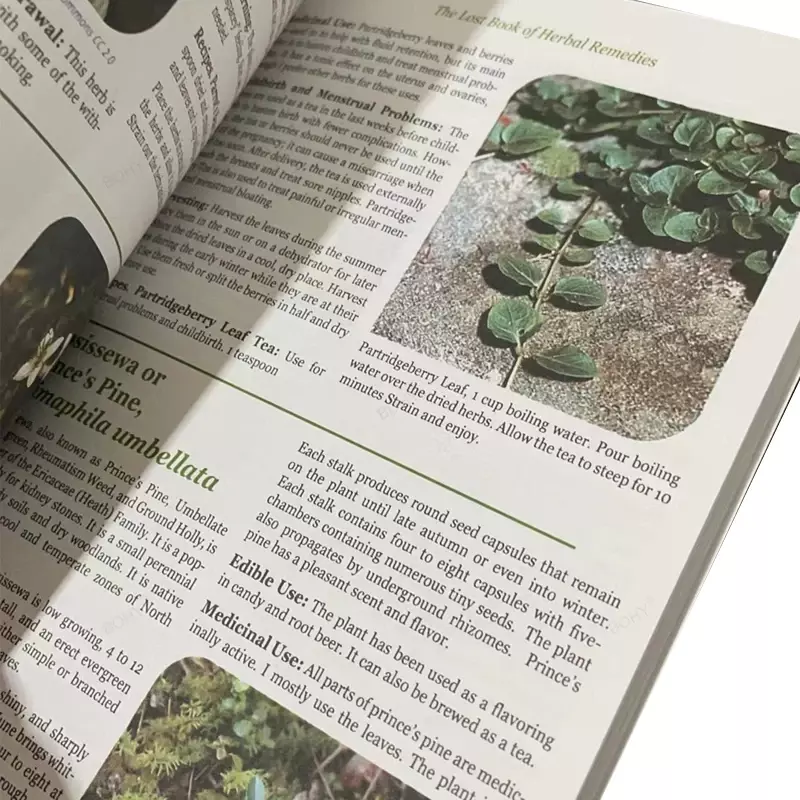 Книга о потерянных травяных средствах, лечебная сила растительной медицины, книга содержит цветные изображения
