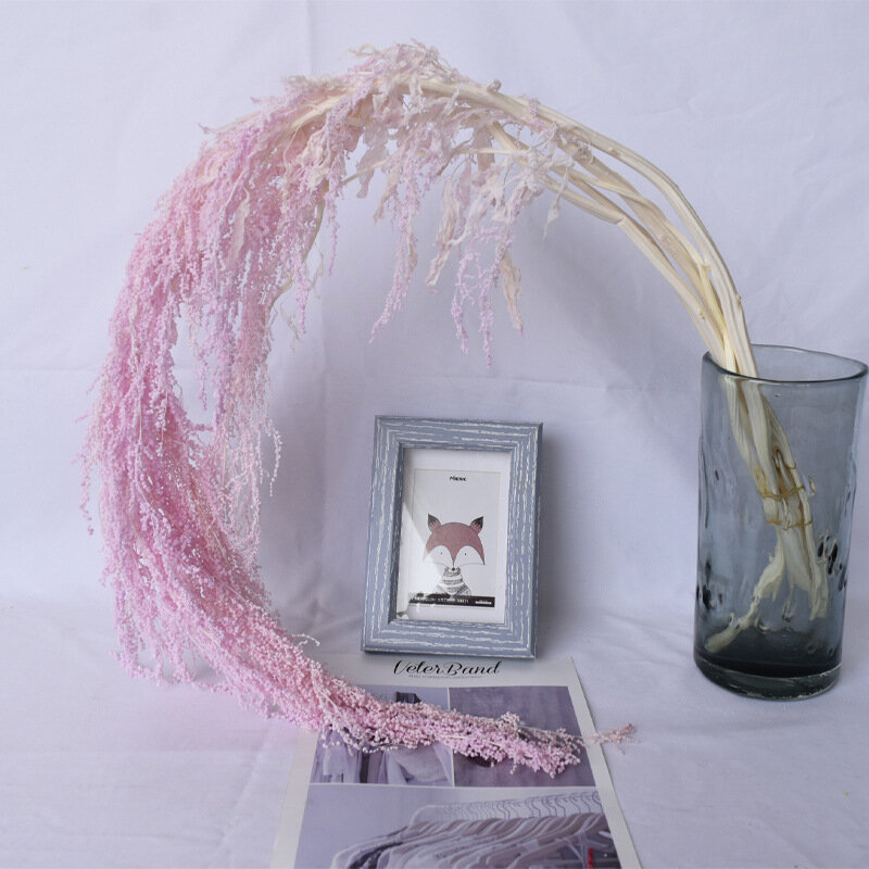 5 قطعة أزهار محفوظة طبيعية رومانسية العشاق الدموع باقة الزفاف تشكيلة زهور مجففة Mariage ديكور ديكور المنزل