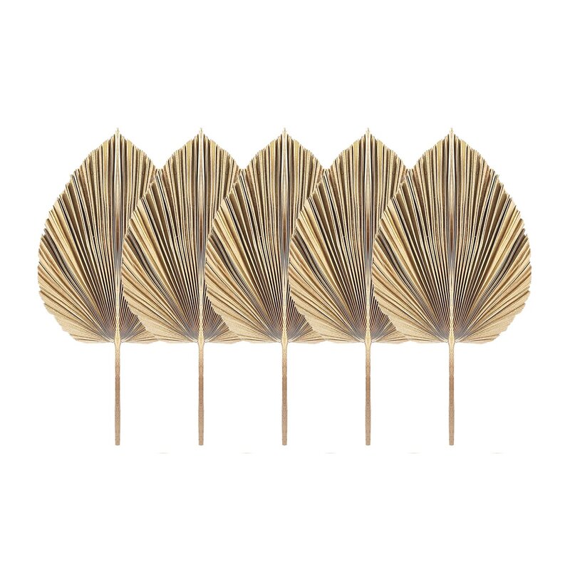 5Pcs Natural Dried Palm Leaves Tropical Dried Palm Fans Boho Dry Leaves Decor for Home Kitchen Wedding